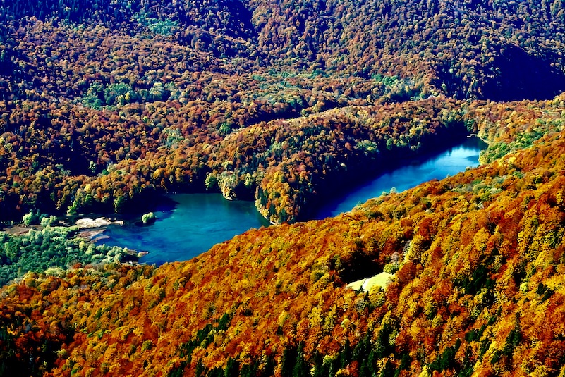 Biogradsko Lake In Autumn From The Air.