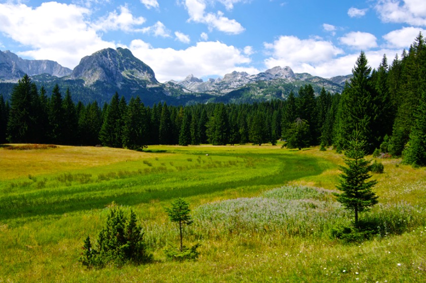 Durmitor In The Spring