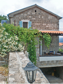 House with plants