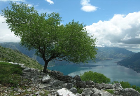 Lustica Peninsula